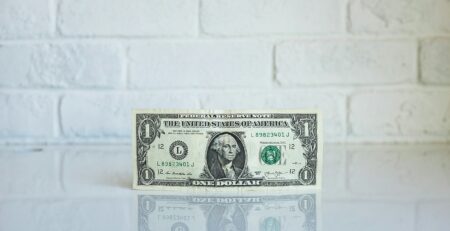 american dollar in a surface