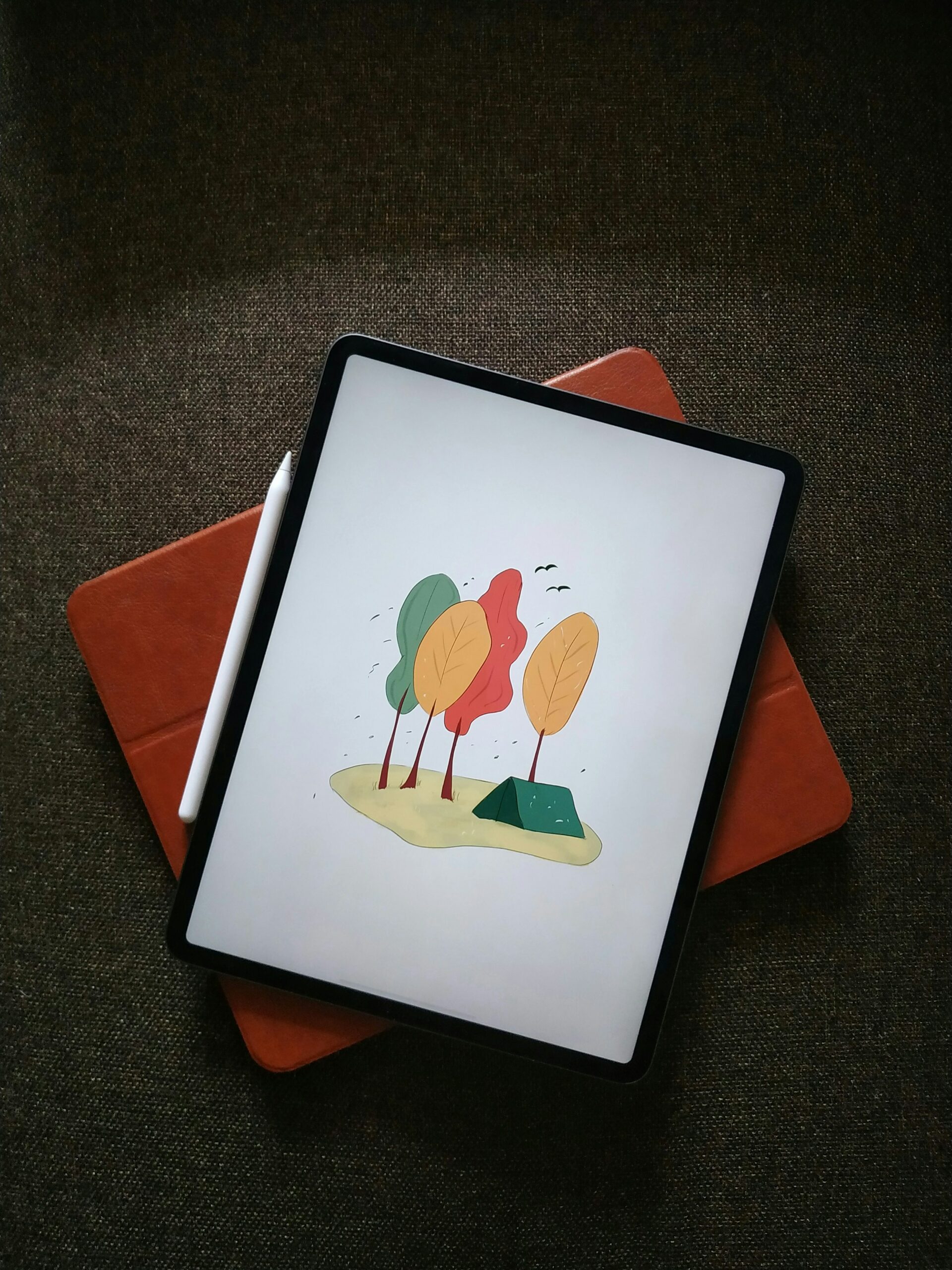 apple ipad with a draw